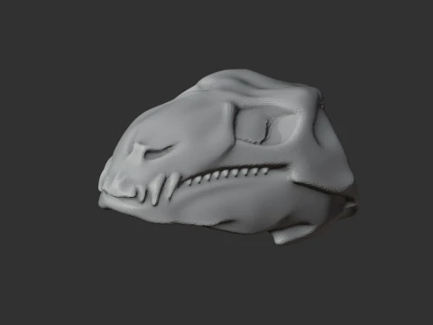 Diadectes Skull 3D Model