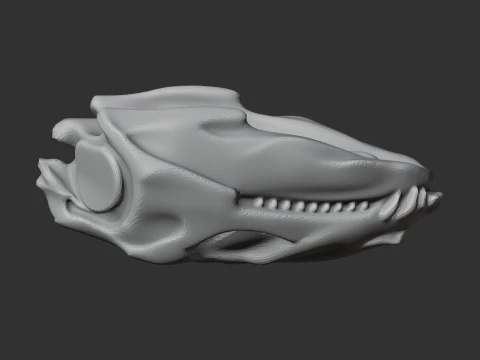 Diadectes Skull 3D Model