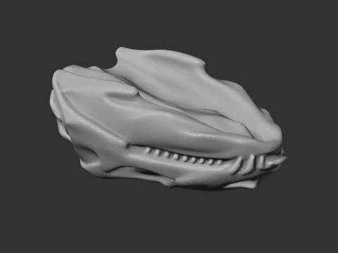 Diadectes Skull 3D Model