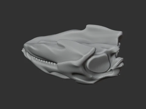 Diadectes Skull 3D Model