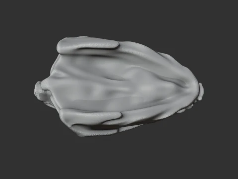 Diadectes Skull 3D Model