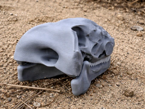 Dimetrodon Skull 3D Model