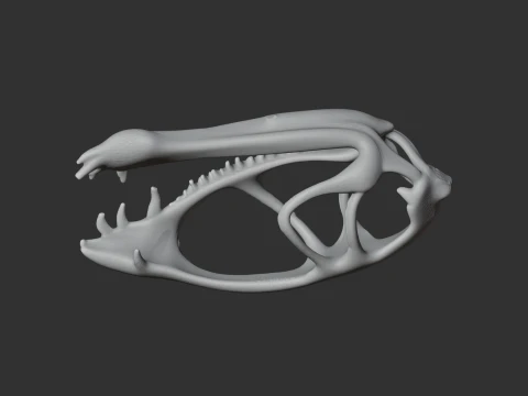 Dimorphodon Skull 3D Model