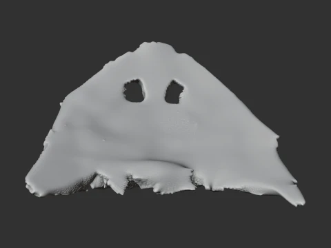 Diplocaulus Skull 3D Model
