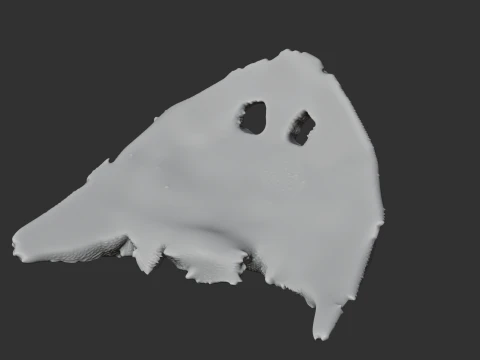 Diplocaulus Skull 3D Model
