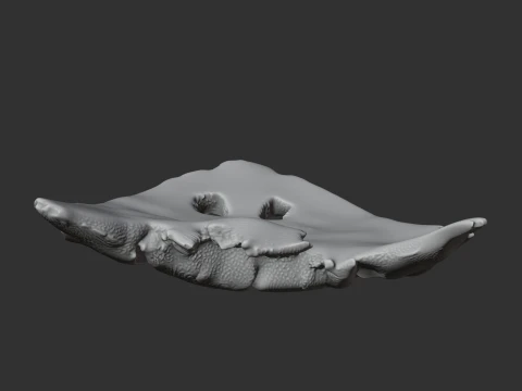 Diplocaulus Skull 3D Model