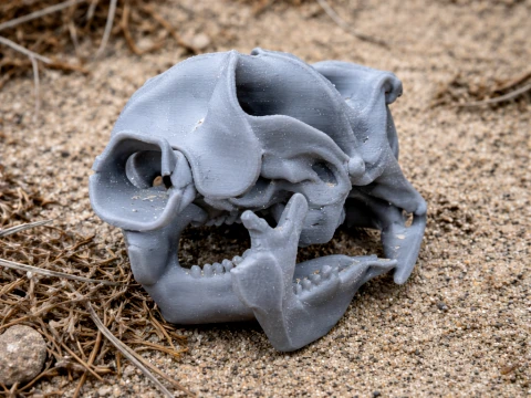 Diprotodon Skull 3D Model