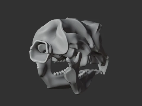 Diprotodon Skull 3D Model