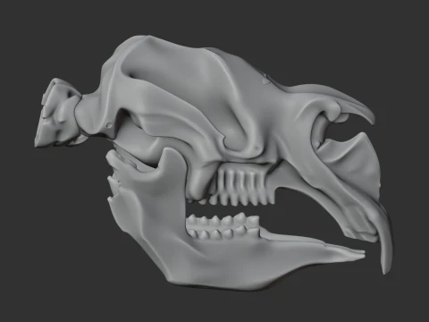 Diprotodon Skull 3D Model
