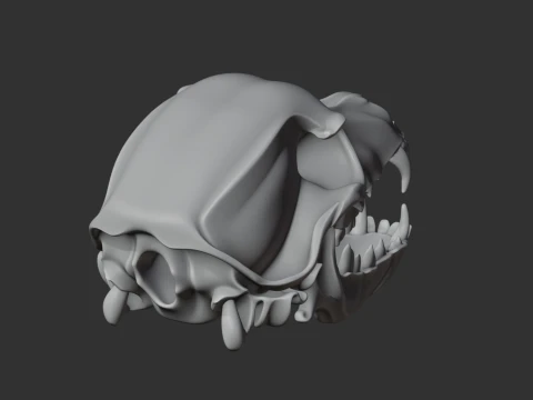 Dog Skull 3D Model
