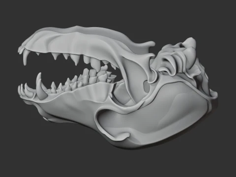 Dog Skull 3D Model