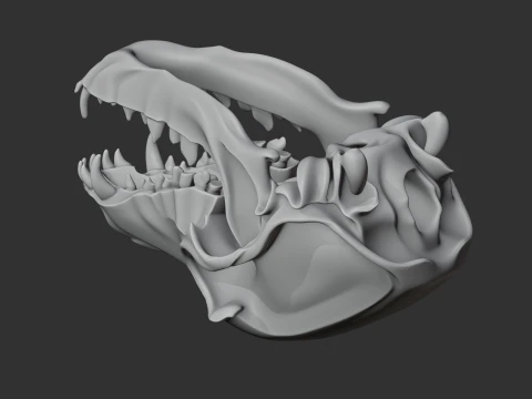 Dog Skull 3D Model