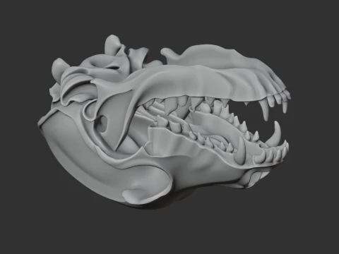 Dog Skull 3D Model