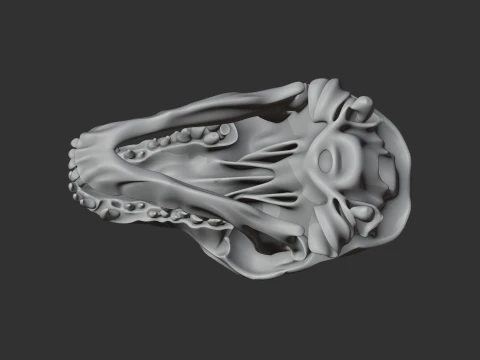 Dog Skull 3D Model