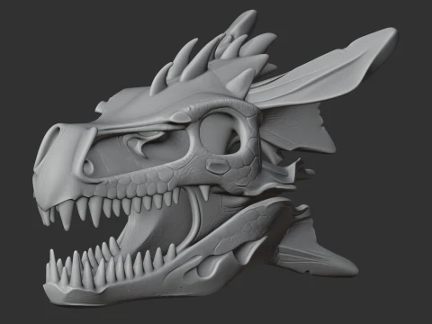 Dracopelta Skull 3D Model