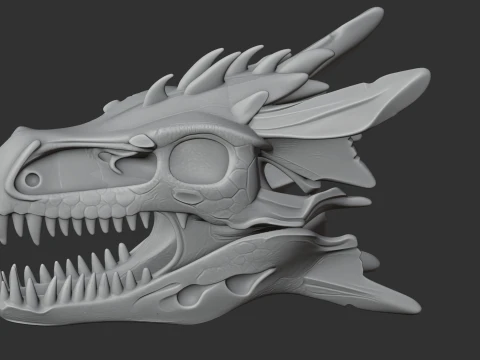 Dracopelta Skull 3D Model