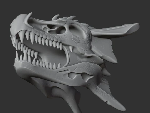 Dracopelta Skull 3D Model
