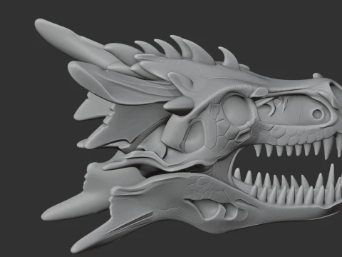 Dracopelta Skull 3D Model
