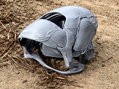 Dunkleosteus Skull 3D Model