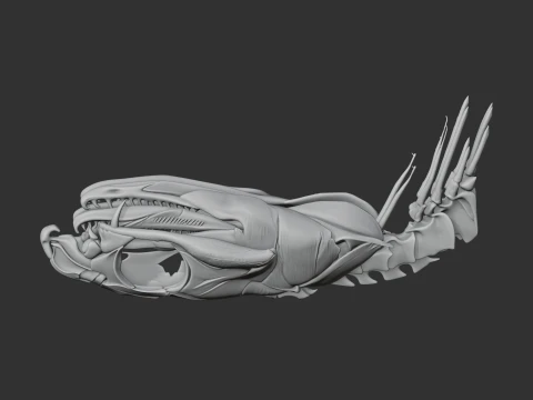 Eastern Brown Snake Skull 3D Model