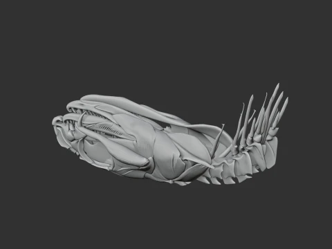 Eastern Brown Snake Skull 3D Model