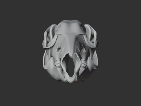 Eastern Grey Kangaroo Skull 3D Model