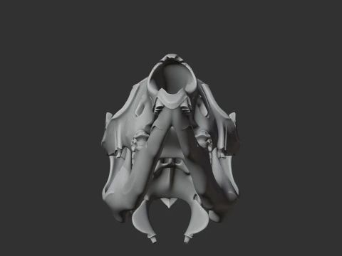 Eastern Grey Kangaroo Skull 3D Model