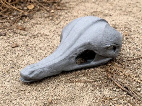 Eastern Long-beaked Echidna Skull 3D Model