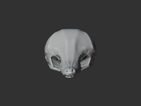 Eastern Long-beaked Echidna Skull 3D Model