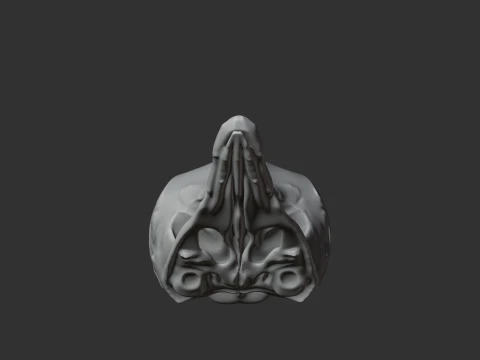Eastern Long-beaked Echidna Skull 3D Model
