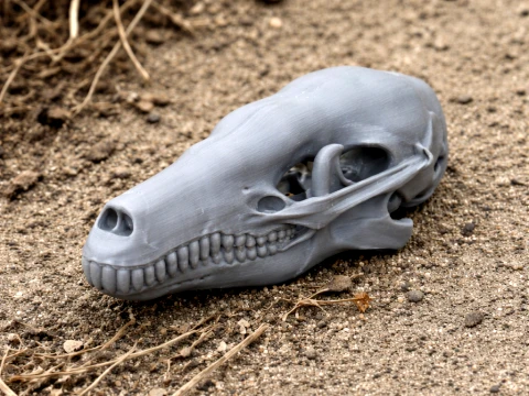 Eastern Mole Skull 3D Model