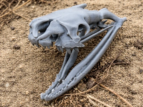 Cr&acirc;nio de cobra eg&iacute;pcia Modelo 3D