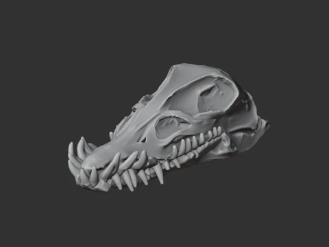 Elasmosaurus Skull 3D Model