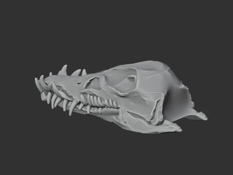 Elasmosaurus Skull 3D Model