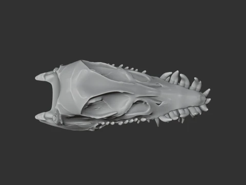 Elasmosaurus Skull 3D Model