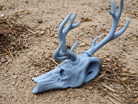 Elk Skull 3D Model
