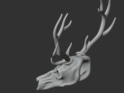 Elk Skull 3D Model