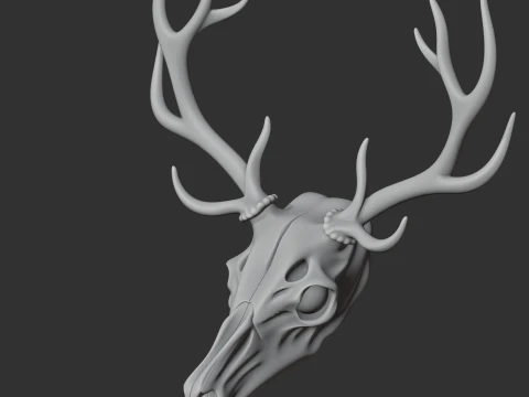 Elk Skull 3D Model