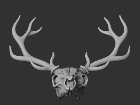 Elk Skull 3D Model