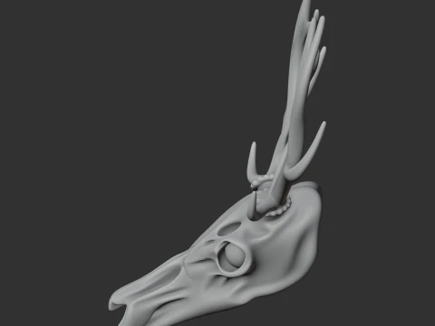 Elk Skull 3D Model