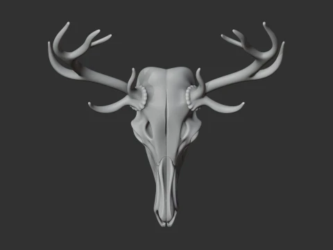Elk Skull 3D Model