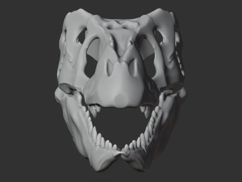 Emausaurus Skull 3D Model