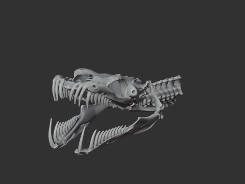 Emerald Tree Boa Skull 3D Model