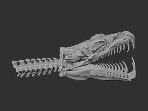 Emerald Tree Boa Skull 3D Model