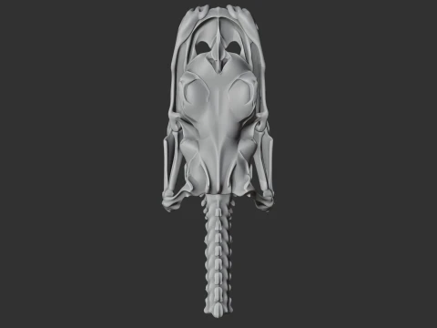 Emerald Tree Boa Skull 3D Model