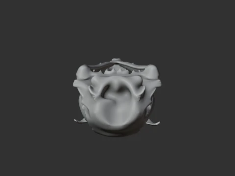 Emu Skull 3D Model