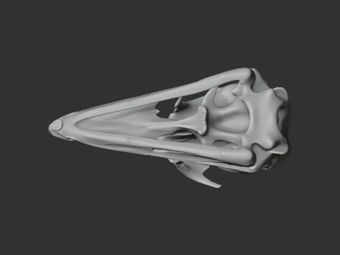 Emu Skull 3D Model