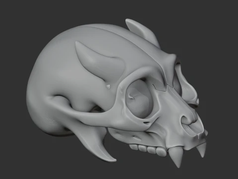 Eomellivora Skull 3D Model