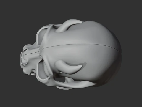 Eomellivora Skull 3D Model