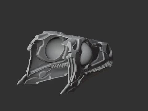 Eoraptor early synapsid Skull 3D Model